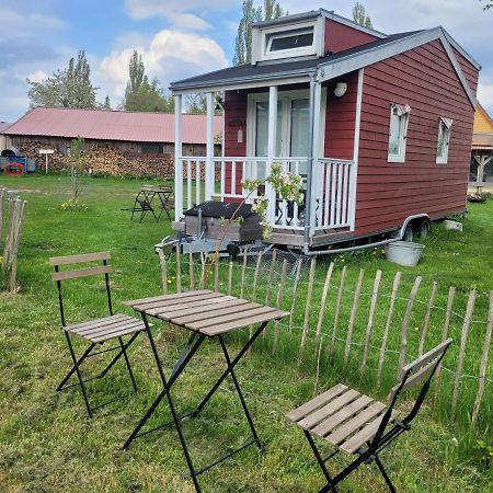Schonbeck  Tiny House 빌라 외부 사진