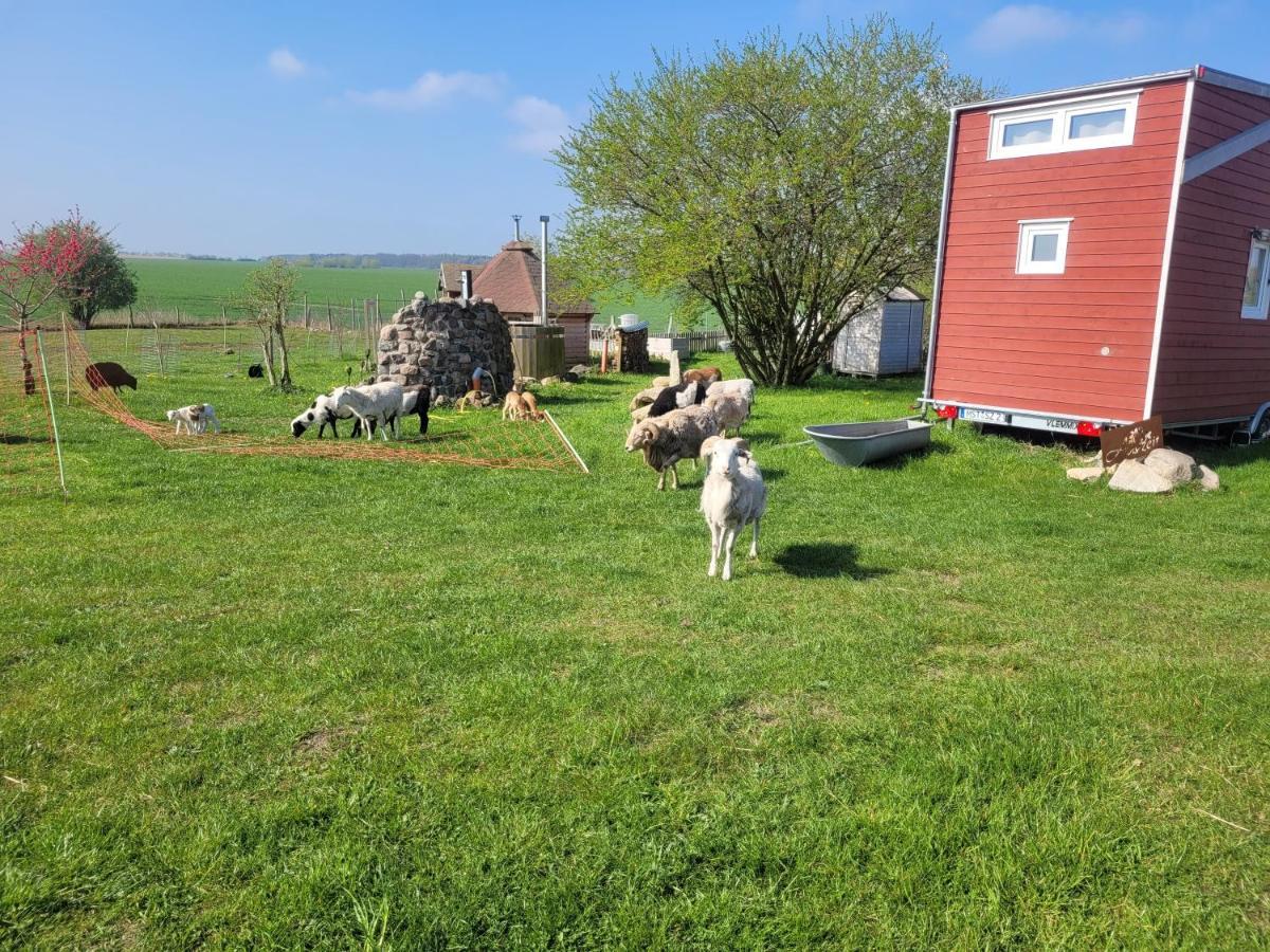 Schonbeck  Tiny House 빌라 외부 사진