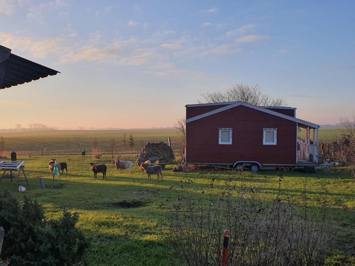 Schonbeck  Tiny House 빌라 외부 사진